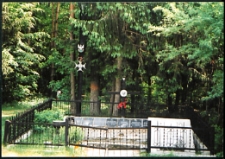 Cmentarze i miejsca pamięci w pow. Biała Podlaska : gm. Drelów : mogiła żołnierzy AK w Leszczance : fotografia