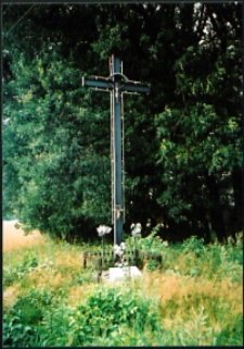 Cmentarze i miejsca pamięci w pow. Biała Podlaska : gm. Drelów : miejsce cmentarza epidemicznego w Przechodzisku : fotografia