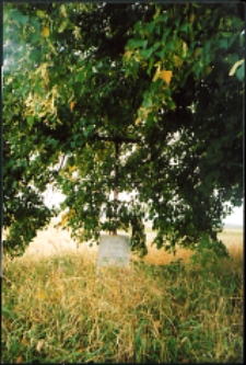 Cmentarze i miejsca pamięci w pow. Biała Podlaska : gm. Janów Podlaski : mogiła zbiorowa żołnierzy z krzyżem w Bublu Grannie : fotografia