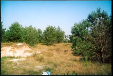 Cmentarze i miejsca pamięci w pow. Biała Podlaska : gm. Janów Podlaski : miejsce cmentarza epidemicznego w Klonownicy Małej : fotografia