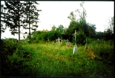 Cmentarze i miejsca pamięci w pow. Biała Podlaska : gm. Janów Podlaski : cmentarz w Starym Pawłowie : fotografia