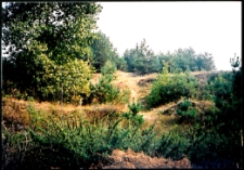 Cmentarze i miejsca pamięci w pow. Biała Podlaska : gm. Janów Podlaski : miejsce po cmentarzu epidemicznym w Werchlisiu : karta ewidencyjna nr 19