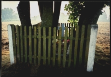 Cmentarze i miejsca pamięci w pow. Biała Podlaska : gm. Kodeń : mogiła nieznanego żołnierza wojny 1920 r. w Elżbiecinie : fotografia