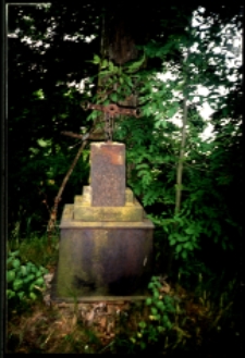 Cmentarze i miejsca pamięci w pow. Biała Podlaska : gm. Kodeń : nieczynny cmentarz przykościelny w Kopytowie : fotografia