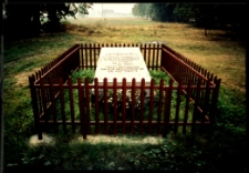 Cmentarze i miejsca pamięci w pow. Biała Podlaska : gm. Kodeń : grób żołnierza radzieckiego w Kostomłotach : fotografia