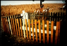 Cmentarze i miejsca pamięci w pow. Biała Podlaska : gm. Kodeń : mogiła żołnierza polskiego z 1920 r. w Okczynie : fotografia