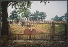 Cmentarze i miejsca pamięci w pow. Biała Podlaska : gm. Kodeń : cmentarz prawosławny i katolicki w Okczynie : fotografia