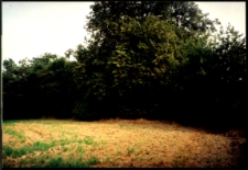 Cmentarze i miejsca pamięci w pow. Biała Podlaska : gm. Konstantyn&oacute;w : miejsce nieczynnego cmentarza w Gnojnie : fotografia