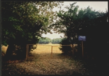 Cmentarze i miejsca pamięci w pow. Biała Podlaska : gm. Konstantynów : cmentarz żydowski w Konstantynowie : fotografia