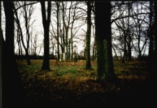 Cmentarze i miejsca pamięci w pow. Biała Podlaska : gm. Leśna Podlaska : nieczynny cmentarz w Bordziłówce : fotografia