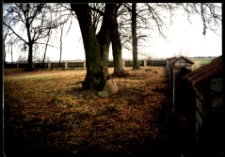 Cmentarze i miejsca pamięci w pow. Biała Podlaska : gm. Leśna Podlaska : nieczynny cmentarz przy kaplicy w Bukowicach : fotografia