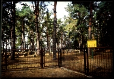 Cmentarze i miejsca pamięci w pow. Biała Podlaska : gm. Łomazy : cmentarz tatarski w Studziance : fotografia