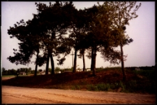 Cmentarze i miejsca pamięci w pow. Biała Podlaska : gm. Międzyrzec Podlaski : miejsce cmentarza epidemicznego w Jelnicy : fotografia