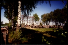 Cmentarze i miejsca pamięci w pow. Biała Podlaska : gm. Międzyrzec Podlaski : cmentarz katolicki w Kożuszkach : fotografia