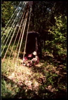 Cmentarze i miejsca pamięci w pow. Biała Podlaska : gm. Międzyrzec Podlaski : pomnik z krzyżem obok cmentarza epidemicznego w Krzewicy : fotografia