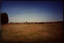 Cmentarze i miejsca pamięci w pow. Biała Podlaska : gm. Międzyrzec Podlaski : cmentarz katolicki w Maniach : fotografia