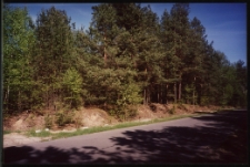 Cmentarze i miejsca pamięci w pow. Biała Podlaska : gm. Międzyrzec Podlaski : miejsce po cmentarzu epidemicznym w Pościszu : fotografia