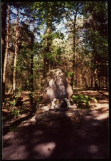 Cmentarze i miejsca pamięci w pow. Biała Podlaska : gm. Międzyrzec Podlaski : mogiła żołnierza AK w Pościszu (Starowieś): fotografia