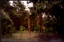 Cmentarze i miejsca pamięci w pow. Biała Podlaska : gm. Międzyrzec Podlaski : cmentarz epidemiczny w Rzeczycy : fotografia