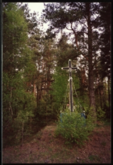 Cmentarze i miejsca pamięci w pow. Biała Podlaska : gm. Międzyrzec Podlaski : cmentarz epidemiczny w Strzakłach : fotografia
