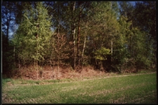 Cmentarze i miejsca pamięci w pow. Biała Podlaska : gm. Międzyrzec Podlaski : miejsce cmentarza wojennego z I wojny światowej w Tuliłowie : fotografia