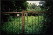 Cmentarze i miejsca pamięci w pow. Biała Podlaska : gm. Rokitno : cmentarz prawosławny w Olszynie : fotografia