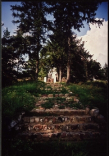 Cmentarze i miejsca pamięci w pow. Biała Podlaska : gm. Rokitno : cmentarz wojenny w Zaczopkach : fotografia