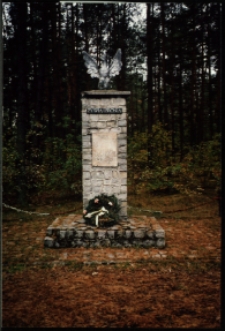 Cmentarze i miejsca pamięci w pow. Biała Podlaska : gm. Rossosz : pomnik upamiętniający Szkołę Podchorązych BCH w lesie Sulmierz k. wsi Mokre : fotografia