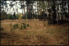 Cmentarze i miejsca pamięci w pow. Biała Podlaska : gm. Rossosz : miejsce cmentarza epidemicznego w Romaszkach : fotografia