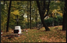 Cmentarze i miejsca pamięci w pow. Biała Podlaska : gm. Sławatycze : nieczynny cmentarz katolicki w Sławatyczach : fotografia