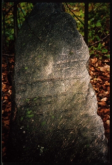 Cmentarze i miejsca pamięci w pow. Biała Podlaska : gm. Sławatycze : miejsce cmentarza żydowskiego w Sławatyczach : fotografia