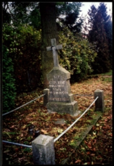 Cmentarze i miejsca pamięci w pow. Biała Podlaska : gm. Sosnówka : nieczynny cmentarz przykościelny w Motwicy : fotografia