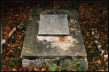 Cmentarze i miejsca pamięci w pow. Biała Podlaska : gm. Sosnówka : pomnik ku czci żołnierza poległego w obronie Ojczyzny we wrześniu 1939 r. w Romanowie : fotografia