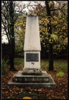 Cmentarze i miejsca pamięci w pow. Biała Podlaska : gm. Sosnówka : pomnik martyrologii w Sosnówce : fotografia