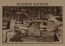 Bialskie sacrum : Studzianka - cmentarz (mizar) tatarski [dokument ikonograficzny]