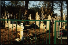 Cmentarze i miejsca pamięci w pow. Biała Podlaska : gm. Terespol : cmentarz prawosławny w Kobylanach : fotografia