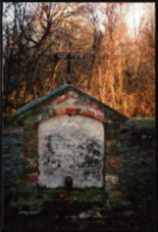 Cmentarze i miejsca pamięci w pow. Biała Podlaska : gm. Terespol : nieczynny cmentarz przykościelny w Krzyczewie : fotografia