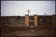 Cmentarze i miejsca pamięci w pow. Biała Podlaska : gm. Terespol : cmentarz katolicki w Małaszewiczach : fotografia