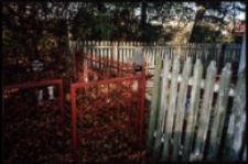 Cmentarze i miejsca pamięci w pow. Biała Podlaska : gm. Terespol : cmentarz żołnirzy polskich z 1920 r. w Samowiczach : fotografia