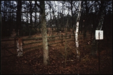 Cmentarze i miejsca pamięci w pow. Biała Podlaska : gm. Terespol : cmentarz tatarski w Zastawku : fotografia