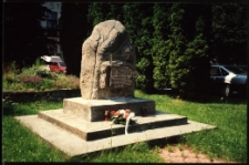 Cmentarze i miejsca pamięci w pow. Biała Podlaska : gm. Tuczna : pomnik poświęcony powstańcom 1863 roku : fotografia