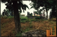 Cmentarze i miejsca pamięci w pow. Biała Podlaska : gm. Wisznice : cmentarz katolicki w Horodyszczu : fotografia