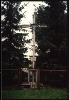 Cmentarze i miejsca pamięci w pow. Biała Podlaska : gm. Wisznice : krzyż poświęcony 70. rocznicy odzyskania niepodległości przez Polskę w Horodyszczu : fotografia