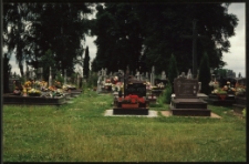 Cmentarze i miejsca pamięci w pow. Biała Podlaska : gm. Wisznice : cmentarz katolicki w Polubiczach Wiejskich : fotografia