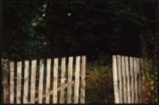 Cmentarze i miejsca pamięci w pow. Biała Podlaska : gm. Wisznice : nieczynny cmentarz w Polubiczach Wiejskich : fotografia