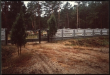 Cmentarze i miejsca pamięci w pow. Biała Podlaska : gm. Zalesie : cmentarz w Dobryniu Dużym : fotografia