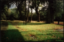 Cmentarze i miejsca pamięci w pow. Biała Podlaska : gm. Zalesie : nieczynny cmentarz przykościelny w Horbowie : fotografia