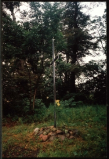 Cmentarze i miejsca pamięci w pow. Biała Podlaska : gm. Zalesie : teren nieczynnego cmentarza w Horbowie-Kolonii : fotografia