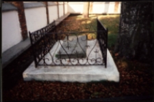 Cmentarze i miejsca pamięci w pow. Biała Podlaska : gm. Zalesie : nieczynny cmentarz przykościelny w Malowej Górze: fotografia