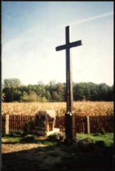 Cmentarze i miejsca pamięci w pow. Biała Podlaska : gm. Zalesie : krzyż - symbol tolerancji religijnej w Mokranach Starych : fotografia
